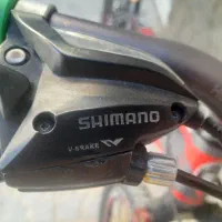 دوچرخه|دوچرخه، اسکیت، اسکوتر|تربت‌حیدریه, سرمحله|دیوار