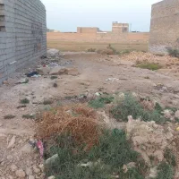 زمین بفرش میرسد