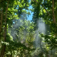 اجاره خانه