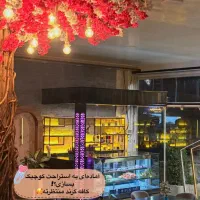 نیرو کار در آشپزخانه کافه رستوران گرند