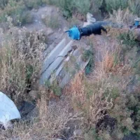 یک قطعه زمین به مساحت ۳۷۳۳متردارای آب ۶ دانگ