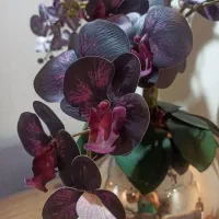 گل ارکیده مصنوعی|گل مصنوعی|کرج, دهقان ویلا|دیوار