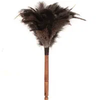 چوب پر گردگیری شترمرغ در مشهد|لوازم نظافت|مشهد, سجادیه|دیوار