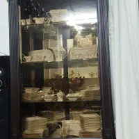 ویترین چوب سالم