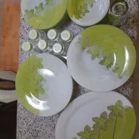 ظرف غذا خوری