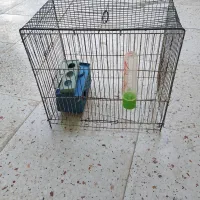 قفس پرنده