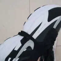 کتونی نو نو سایز ۳۹|کیف، کفش، کمربند|پرند, فاز ۳|دیوار