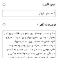 کبوتر رنگی دوکت|پرنده|بندر ماهشهر, |دیوار