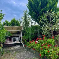 باغچه ویلانیم پیلوت جنگلی*  360متر استخردار|فروش خانه و ویلا|امامزاده عبدالله, |دیوار