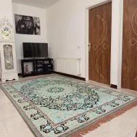 یک جفت فرش ۶ متری
