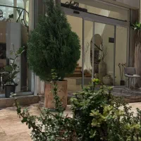 سالندار و کانتر کار متعهد و منظم|استخدام خدمات فروشگاه و رستوران|بندرعباس, |دیوار