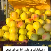 نیاز مند شاگرد برای میوه فروشی