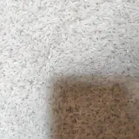 برنج شیرودی محصول خودم
