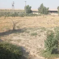 دامداری ۱۰ هزار متر/وام ۷ میلیاردی/چاه عمیق