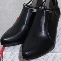 کفش نو|کیف، کفش، کمربند|نقده, |دیوار