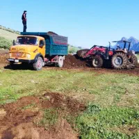 کود حیوانی گوسفندی سوخته