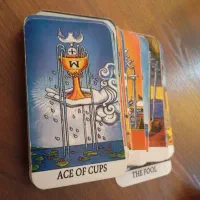 فال|کلکسیون و سرگرمی|پرند, فاز ۴|دیوار