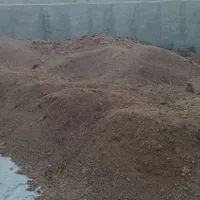 کود گاوی