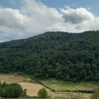 یک شب رویای در جنگل های سوادکوه|اجارهٔ کوتاهمدت ویلا و باغ|زیرآب, |دیوار