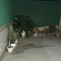 رهن و اجاره یک واحد مسکونی|اجارهٔ آپارتمان|رشت, گلزاران|دیوار