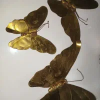 پروانه برنجی