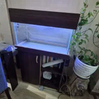 آکواریوم همراه با کابینت و کلیه لوازم