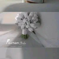 عکسبرداری و فیلمبرداری تخصصی اتلیه باغ عمارت|خدمات پذیرایی، مراسم|تهران, شهرک غرب|دیوار