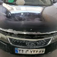 نقاش ماهر و نیمه ماهر