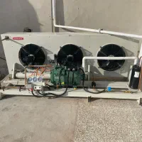 سردخانه زیر صفر بالای صفر