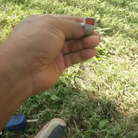 انگشترشجراصل|جواهرات|یاسوج, |دیوار