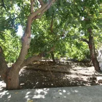 باغچه در روستای سولقان محله بالا