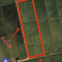 زمین مزروعی