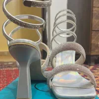 کفش مجلسی