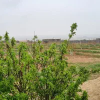 فروش ملک انجیری بیدبخون بر روی جاده اصلی