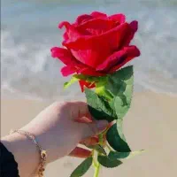 سرویس مدارس