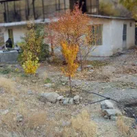 ۲۵۰ متر زمین همراه با ویلا جاده چالوس|فروش خانه و ویلا|آسارا, |دیوار