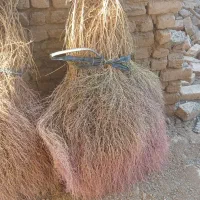 جارو|لوازم نظافت|اصفهان, پوریای ولی|دیوار