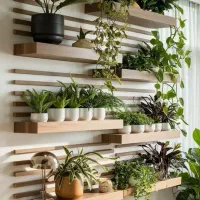 معاوضه گل وگیاه  شما با خرید لباس