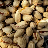 پسته خندان اکبری و کله قوچی