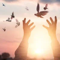 بررسی حل مشکلاتتان با دعاهای رحمانی