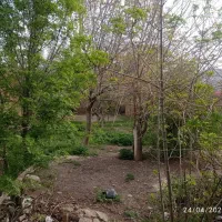 فروش زمین ویلایی در شهر هفشجان