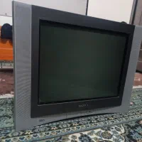 تلویزیون