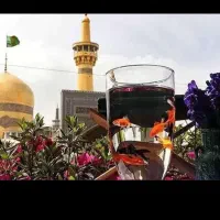 کربلا،  پرداخت شرایطی  /  6 روز