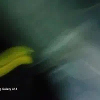 اچاربکس|ابزارآلات|تهران, مینیسیتی (شهرک نفت)|دیوار