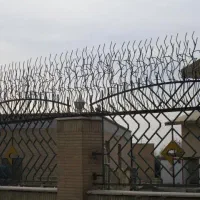 حفاظ شاخ گوزنی و نیزه ای|خدمات پیشه و مهارت|اردبیل, |دیوار