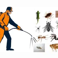 سمپاشی خانه سوسک ساس وسایر حشرات ..|خدمات نظافت|پرند, فاز ۳|دیوار