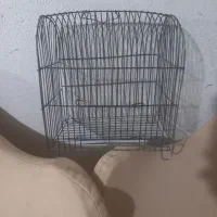 قفس  سهره
