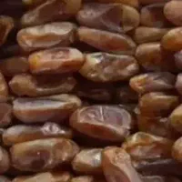 خرمای شاهانی زرد جم(حلب ۲۰ کیلو)