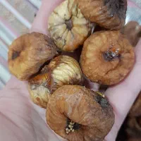فیلم انجیل درشت باکیفیت درجه 1