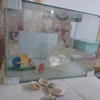 آکواریوم